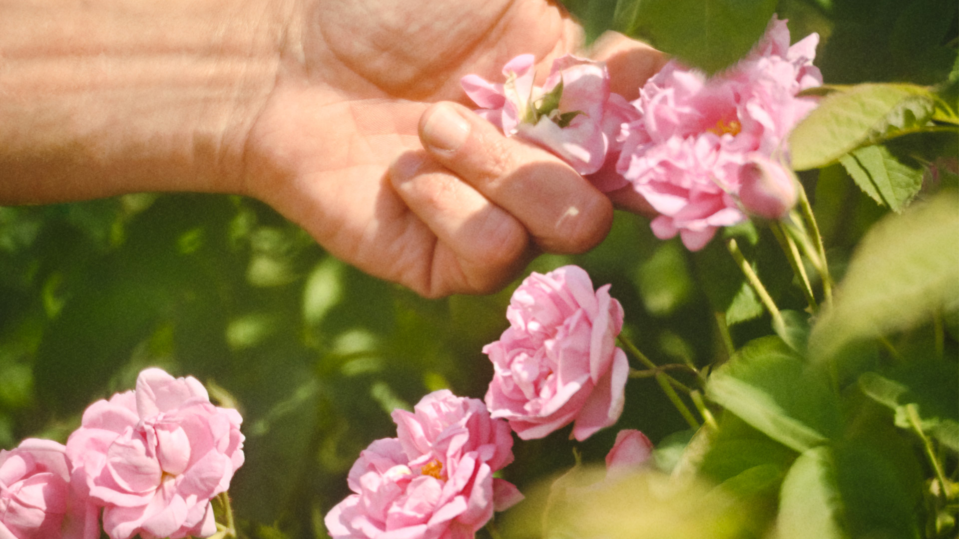 Taking action alongside our sourcing partners