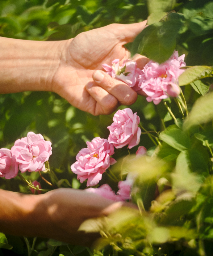 Agir aux côtés de nos partenaires filières