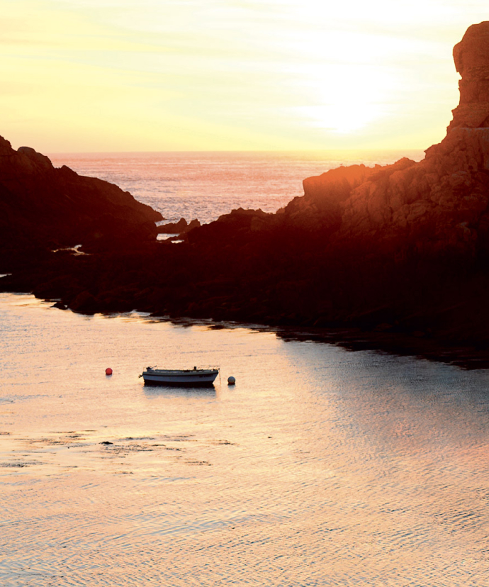 Bilan carbone et trajectoire SBTi