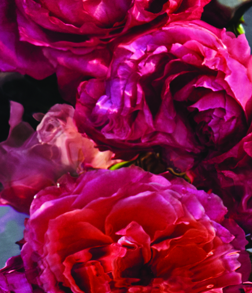 La naturalité<br>des filières