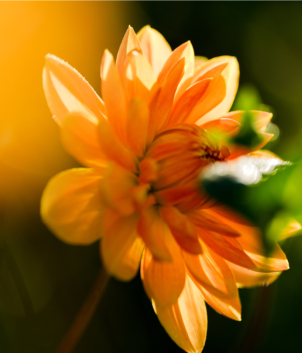 Mesurer l'impact<br>environnemental