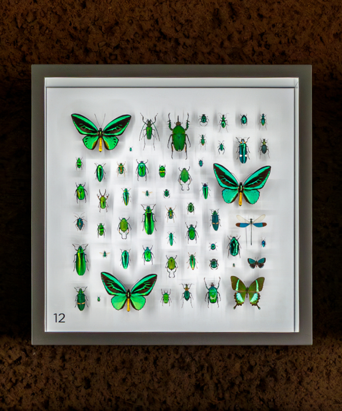 Insectarium de Montréal