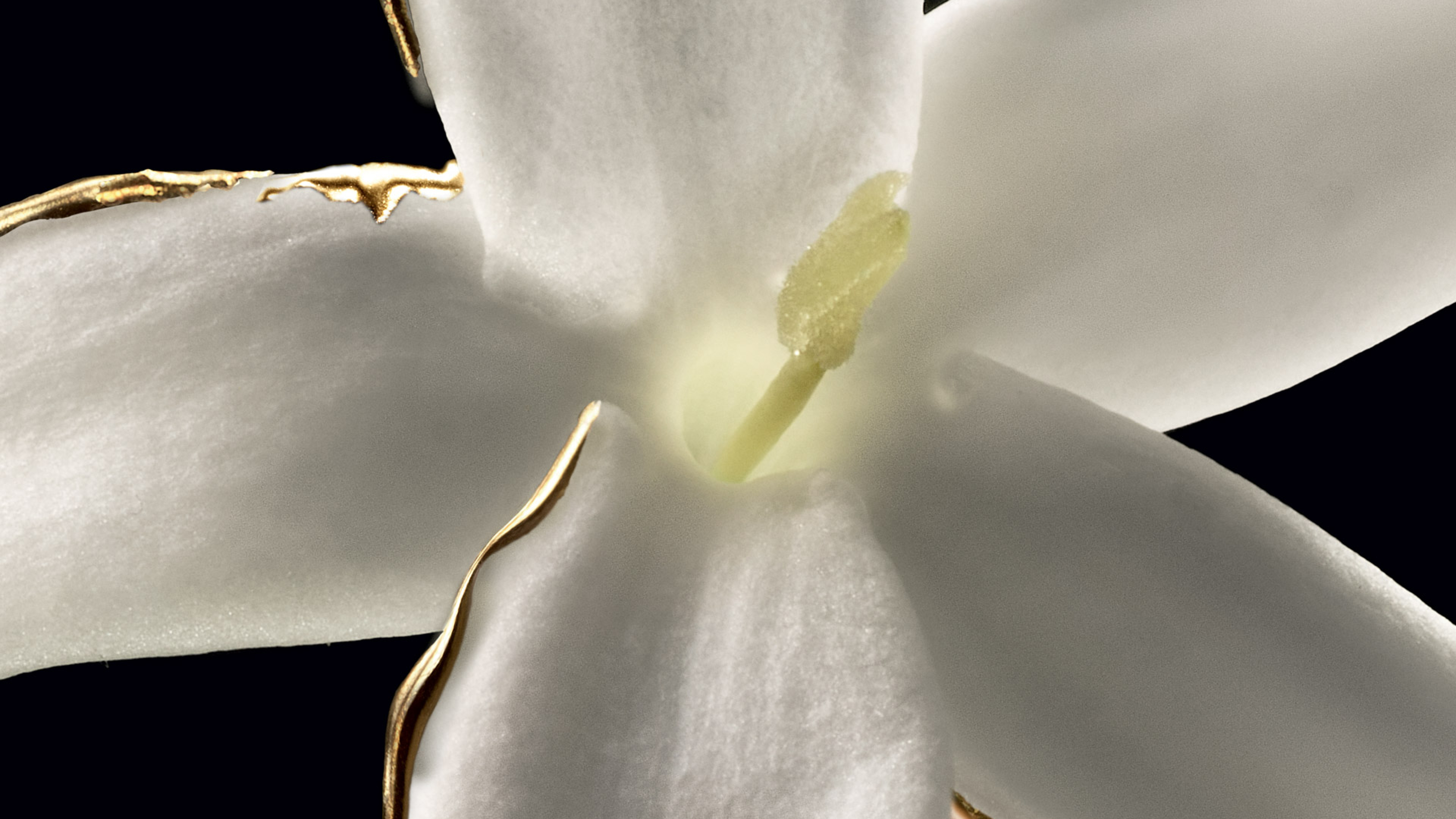 Our natural raw material sourcing