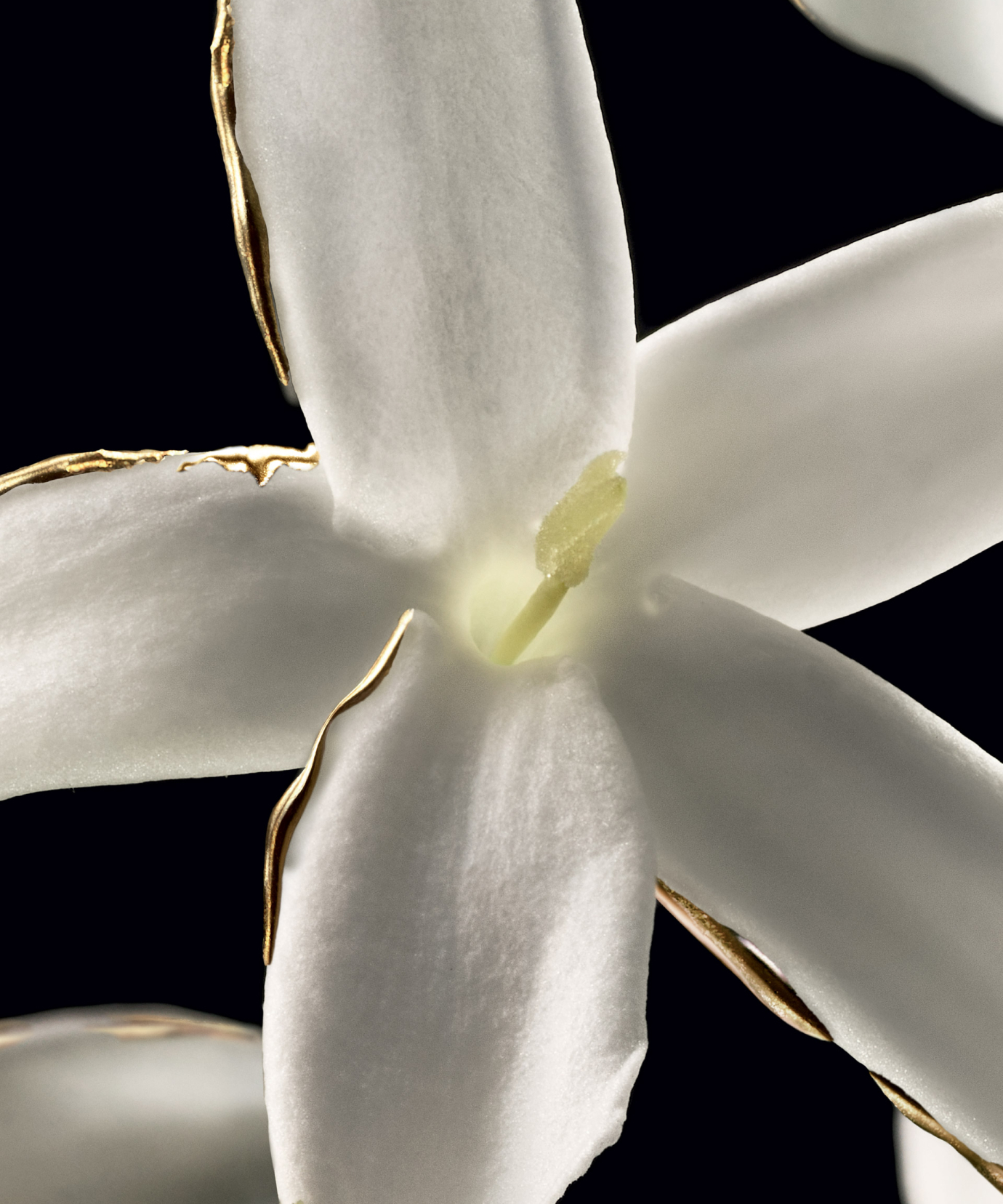 Nos filières matières premières naturelles