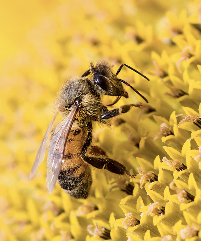 Soutien à la recherche scientifique