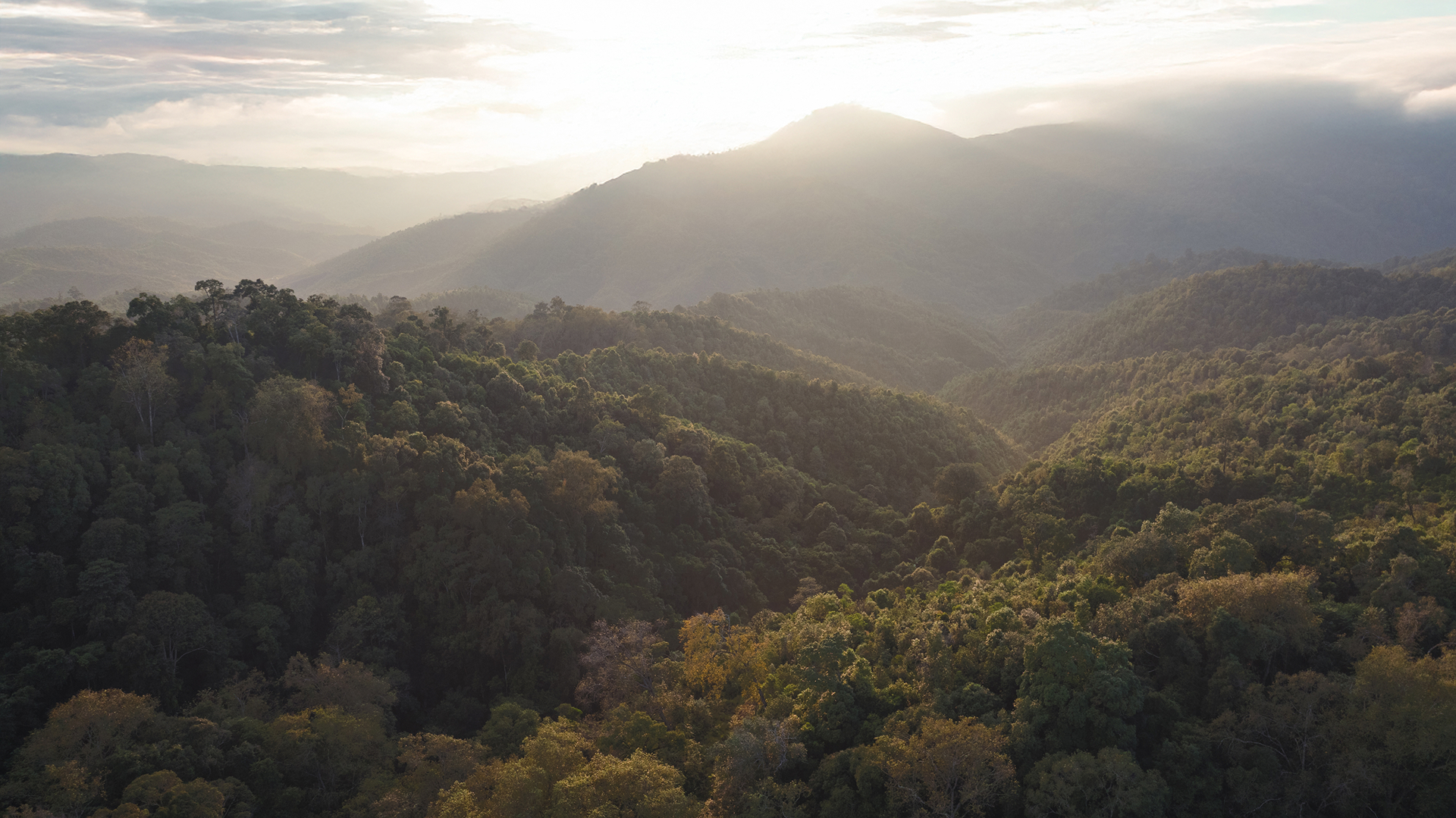 La réserve naturelle de TianZi
