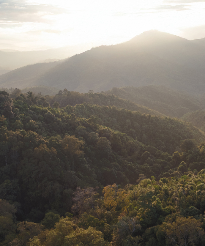 La réserve naturelle de TianZi