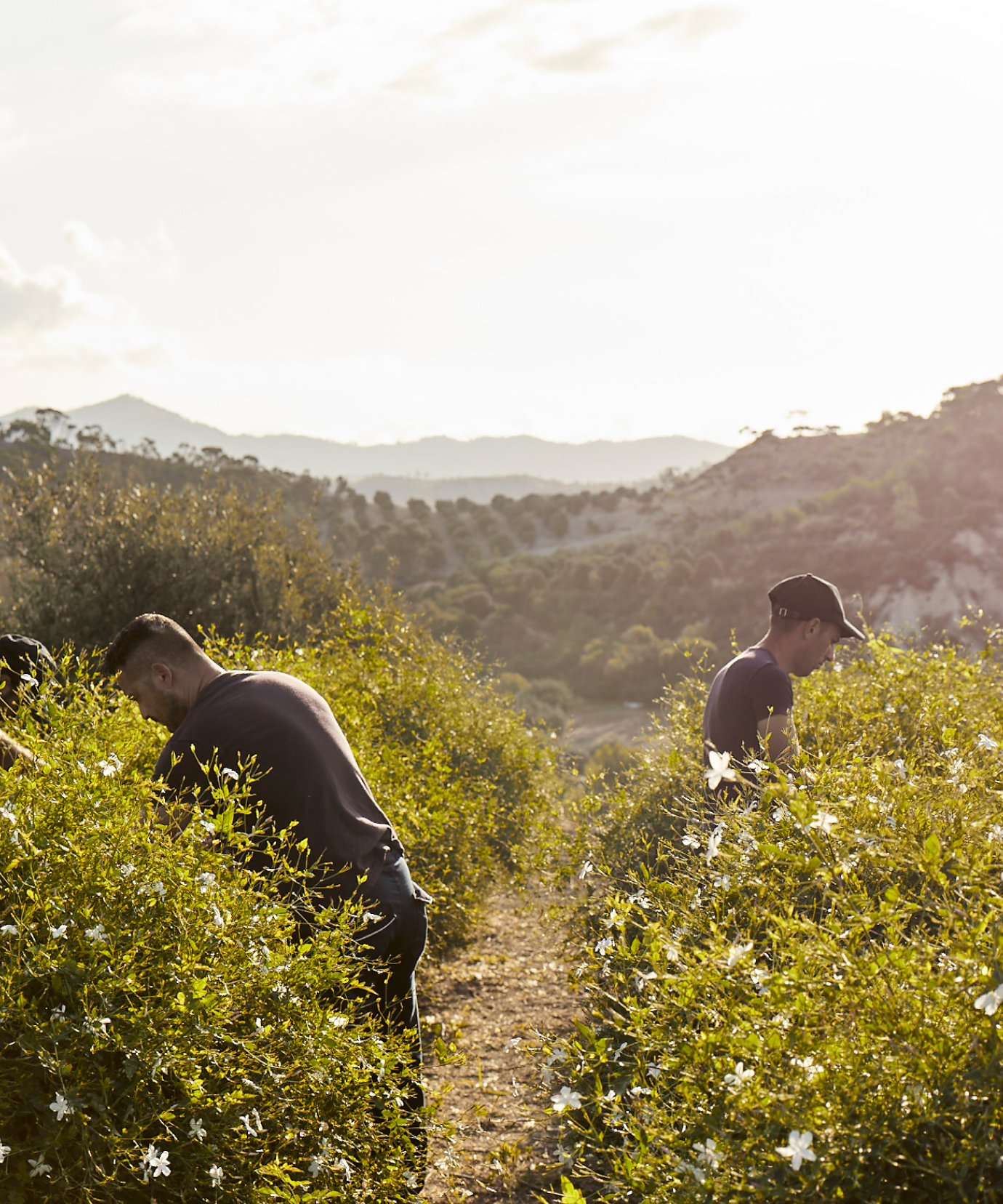 Traçabilité et transparence